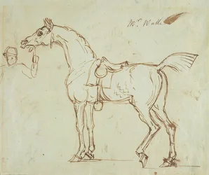 Un cavallo da corsa, imbrigliato e sellato